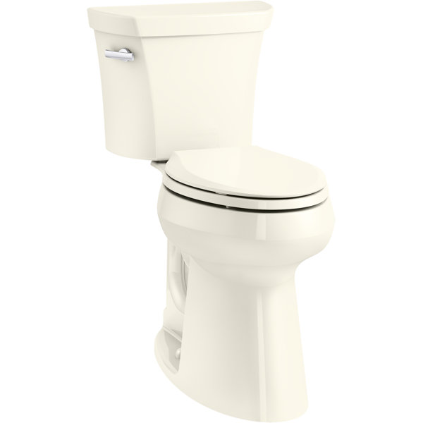 Extra Tall Toilet Wayfair